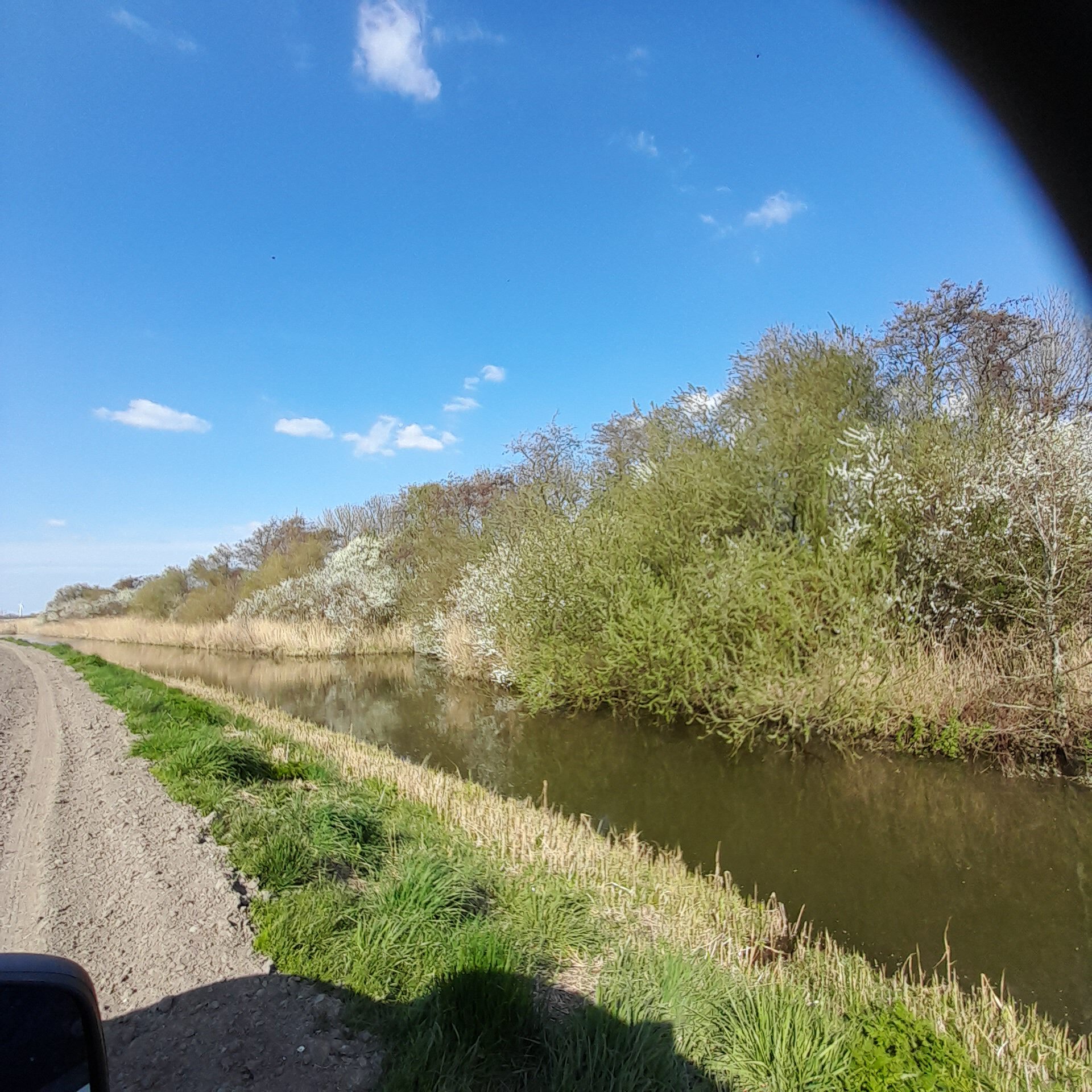 20250402_1613031-rotated.jpg